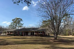 5686 Golden Isles W, Baxley, GA 31513 - Photo 2