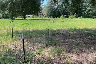 8539 Hwy 301, Folkston, GA 31537 - Photo 20