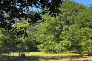 8539 Hwy 301, Folkston, GA 31537 - Photo 12