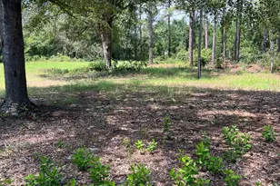 8539 Hwy 301, Folkston, GA 31537 - Photo 22