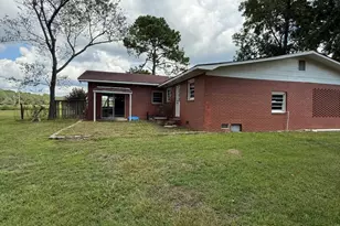 221 Rentz Bridge Rd, Lenox, GA 31637 - Photo 12