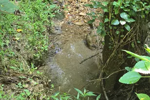 7040 Wessex Way, Cumming, GA 30028 - Photo 58