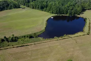 91 Cane Cir, Nahunta, GA 31553 - Photo 58