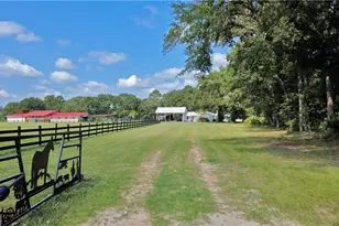 91 Cane Cir, Nahunta, GA 31553 - Photo 10
