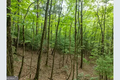 476 Prince Mountain Road, Cherry Log, GA 30522 - Photo 72
