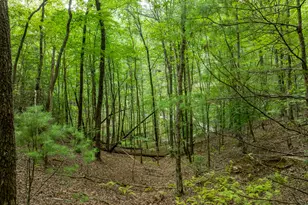 476 Prince Mountain Road, Cherry Log, GA 30522 - Photo 74