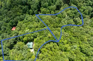 476 Prince Mountain Road, Cherry Log, GA 30522 - Photo 2