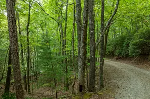 476 Prince Mountain Road, Cherry Log, GA 30522 - Photo 70