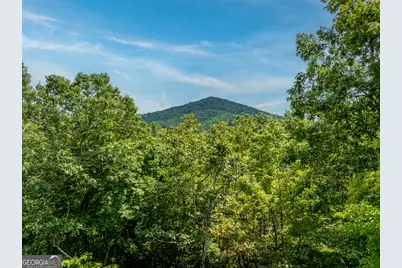 476 Prince Mountain Road, Cherry Log, GA 30522 - Photo 4