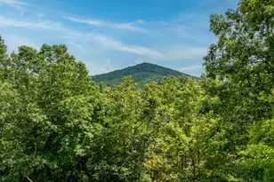 476 Prince Mountain Road, Cherry Log, GA 30522 - Photo 4