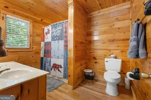 476 Prince Mountain Road, Cherry Log, GA 30522 - Photo 38