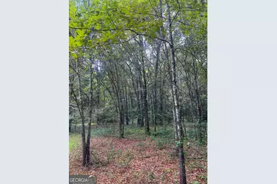 1508 Liberty Expressway SE, Albany, GA 31705 - Photo 48