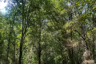 1508 Liberty Expressway SE, Albany, GA 31705 - Photo 52