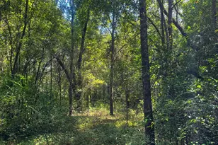 1508 Liberty Expressway SE, Albany, GA 31705 - Photo 54