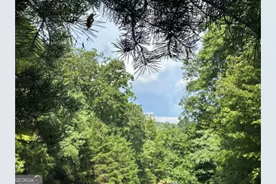 257 Andes Ridge, Ellijay, GA 30536 - Photo 6