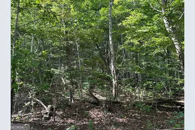 257 Andes Ridge, Ellijay, GA 30536 - Photo 10