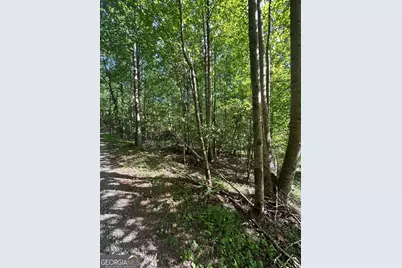 0 E Two Pond Lane, Hayesville, NC 28904 - Photo 6