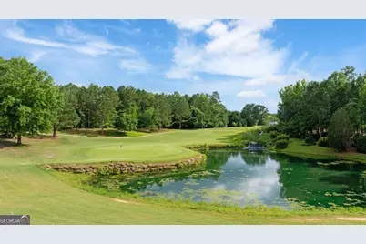 901 Coffee Berry Court, Griffin, GA 30223 - Photo 62