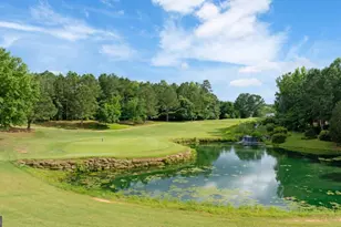 901 Coffee Berry Ct, Griffin, GA 30223 - Photo 62