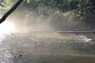 308 Hemlock Trail, Blue Ridge, GA 30513 - Photo 26