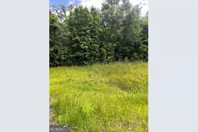 0 Oglethorpe East Highway, Midway, GA 31320 - Photo 2