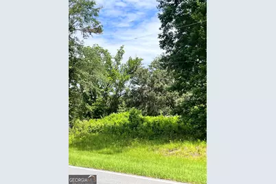 0 Sandy Run Road, Riceboro, GA 31323 - Photo 6