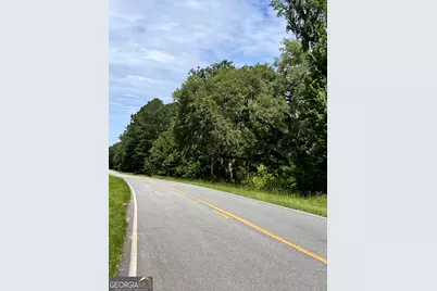 0 Sandy Run Road, Riceboro, GA 31323 - Photo 1
