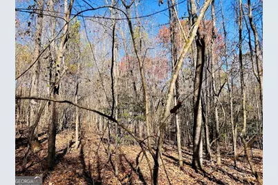 0 Rocky Mount Road, Luthersville, GA 30251 - Photo 6