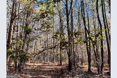 0 Rocky Mount Road, Luthersville, GA 30251 - Photo 4