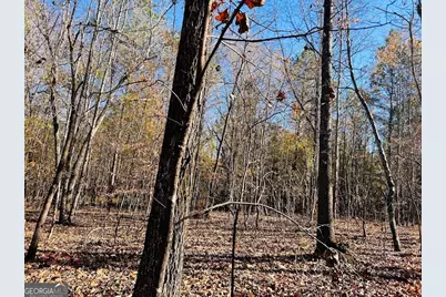 0 Rocky Mount Road, Luthersville, GA 30251 - Photo 2