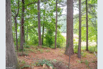 1860 Pinehurst View Drive, Grayson, GA 30017 - Photo 18