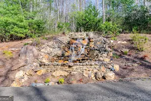 272 Heights Overlook, Cherry Log, GA 30522 - Photo 6