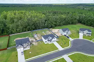 157 Halcyon Wy NE, Ludowici, GA 31316 - Photo 8