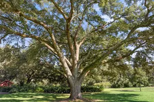 406 N Main St, Sylvania, GA 30467 - Photo 44