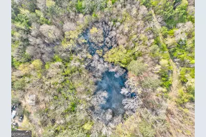 0 Moran Lake Road, Rome, GA 30161 - Photo 4