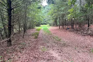 1383 Sims Rd SE, Winder, GA 30680 - Photo 6