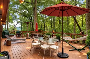 270 Walnut Mountain Rd, Ellijay, GA 30536 - Photo 40