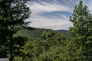 114 Boone Ct, Ellijay, GA 30540 - Photo 44