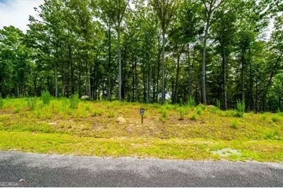 0 Ridge Drive LOT #65, Morganton, GA 30560 - Photo 2