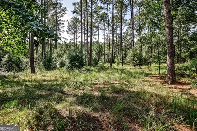 0 Felton McMichael Road, Monticello, GA 31064 - Photo 16