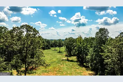 0 Felton McMichael Road, Monticello, GA 31064 - Photo 10