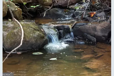 3360 Turniptown Road, Ellijay, GA 30536 - Photo 16