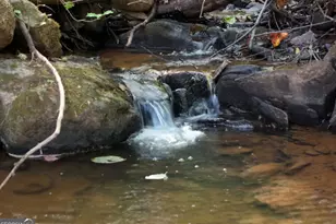 3360 Turniptown Rd, Ellijay, GA 30536 - Photo 16