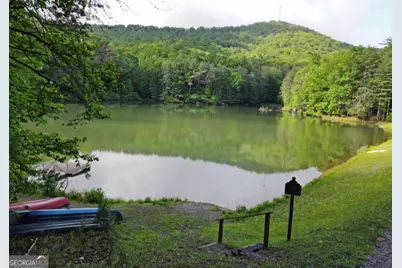 3360 Turniptown Road, Ellijay, GA 30536 - Photo 68