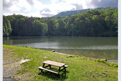 3360 Turniptown Road, Ellijay, GA 30536 - Photo 70