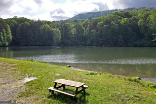 3360 Turniptown Rd, Ellijay, GA 30536 - Photo 70