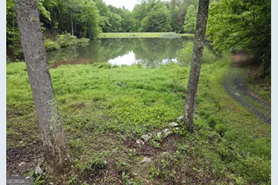 3360 Turniptown Road, Ellijay, GA 30536 - Photo 78