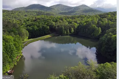 3360 Turniptown Road, Ellijay, GA 30536 - Photo 74