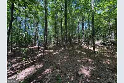 91 Hickory Creek Lane, Acworth, GA 30101 - Photo 8