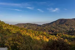 215 Snake Nation Overlook, Blue Ridge, GA 30513 - Photo 36